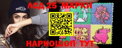 твердый Гатчина