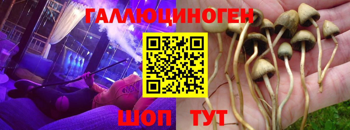 Псилоцибиновые грибы прущие грибы  Вход с VPN  Георгиевск 