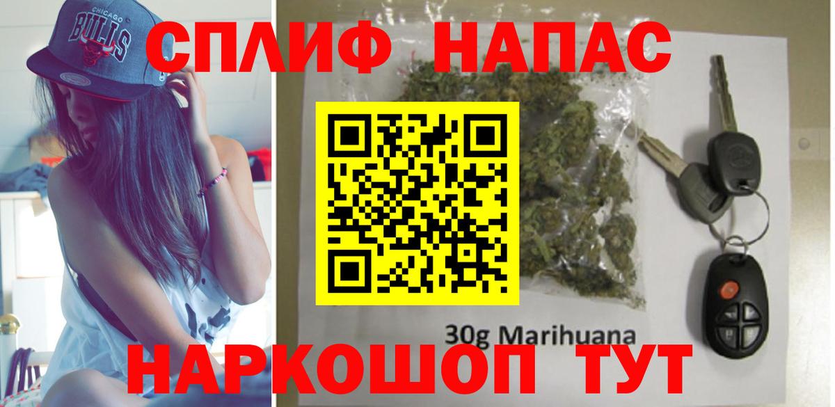 Каннабис гибрид Георгиевск
